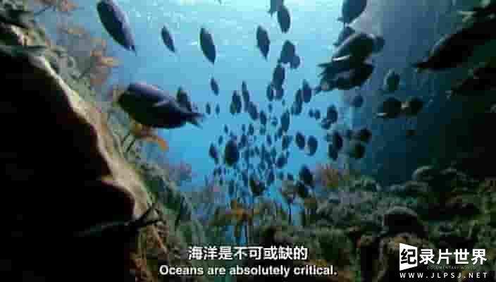 BBC纪录片/地平线系列《海洋之死 Death of the Oceans 2010》全1集