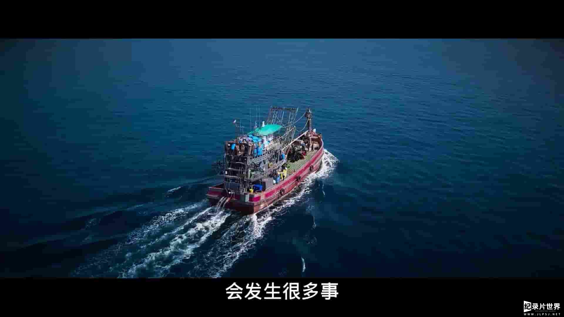 Netflix纪录片《渔业阴谋 Seaspiracy 2021》全1集