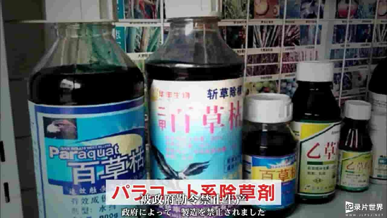 NHK纪录片《中国危险食品 中国の危険な食品 2014》全2集 