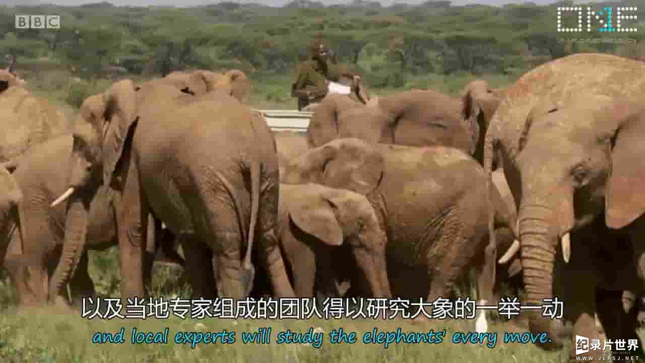 BBC纪录片《自然史诗之旅 Nature’s Epic Journeys 2016》全3集