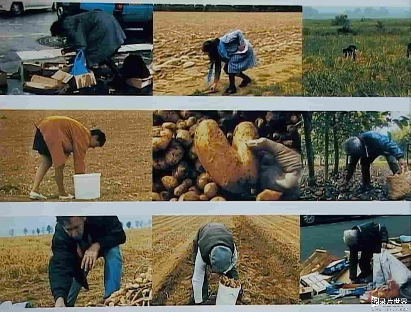 法国纪录片《艾格妮捡风景：两年后 The Gleaners and I: Two Years Later》全1集