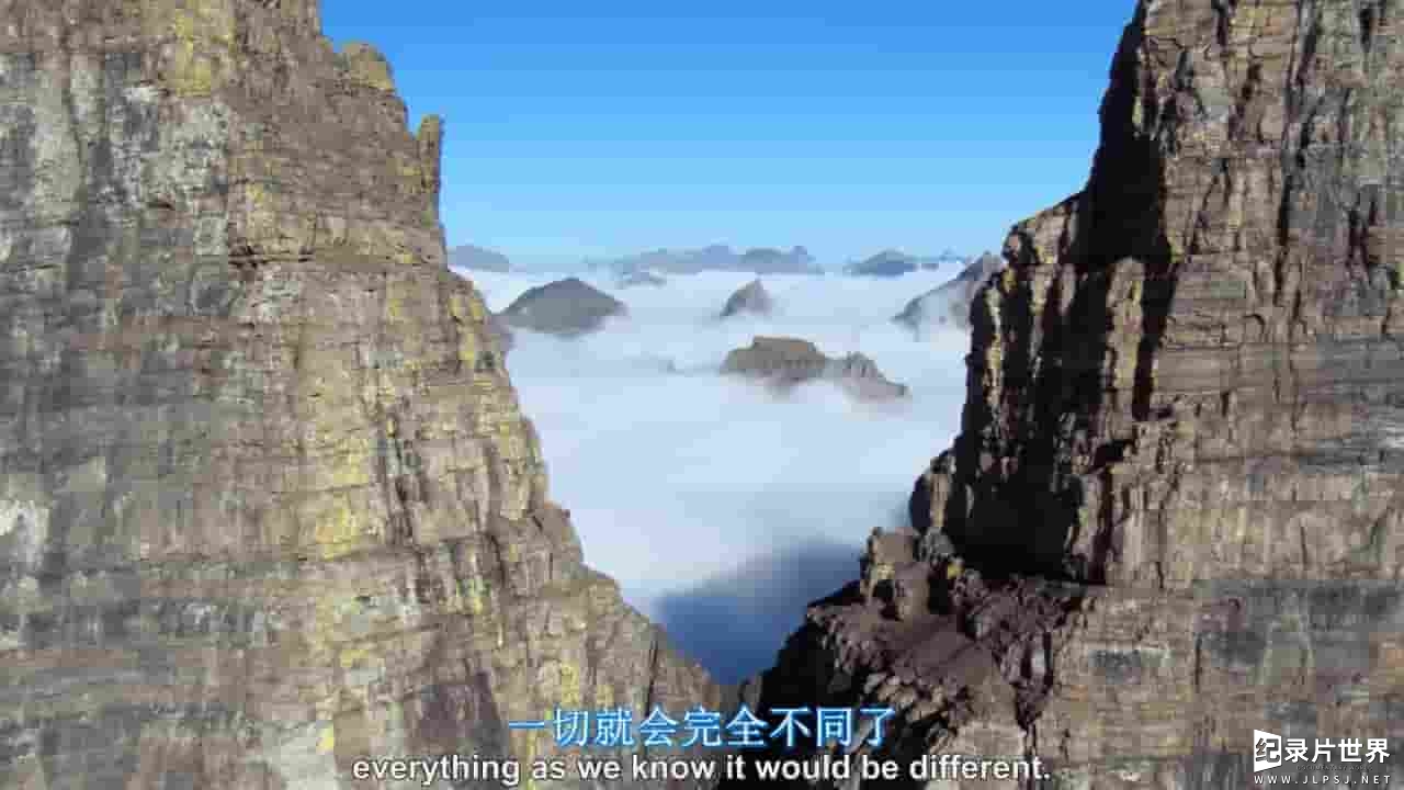 Disney+纪录片/纪录片合辑《迪士尼自然 Disneynature》全8部