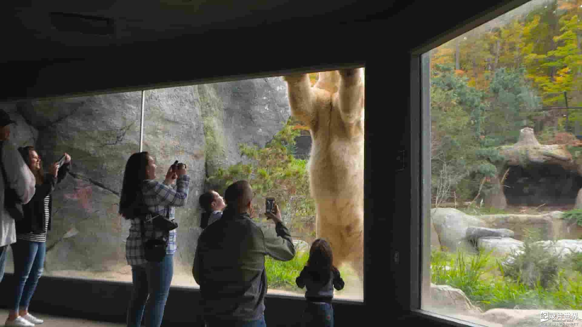 美国纪录片《动物园秘辛：北卡罗来纳 Secrets of the Zoo: North Carolina 2020》全8集 