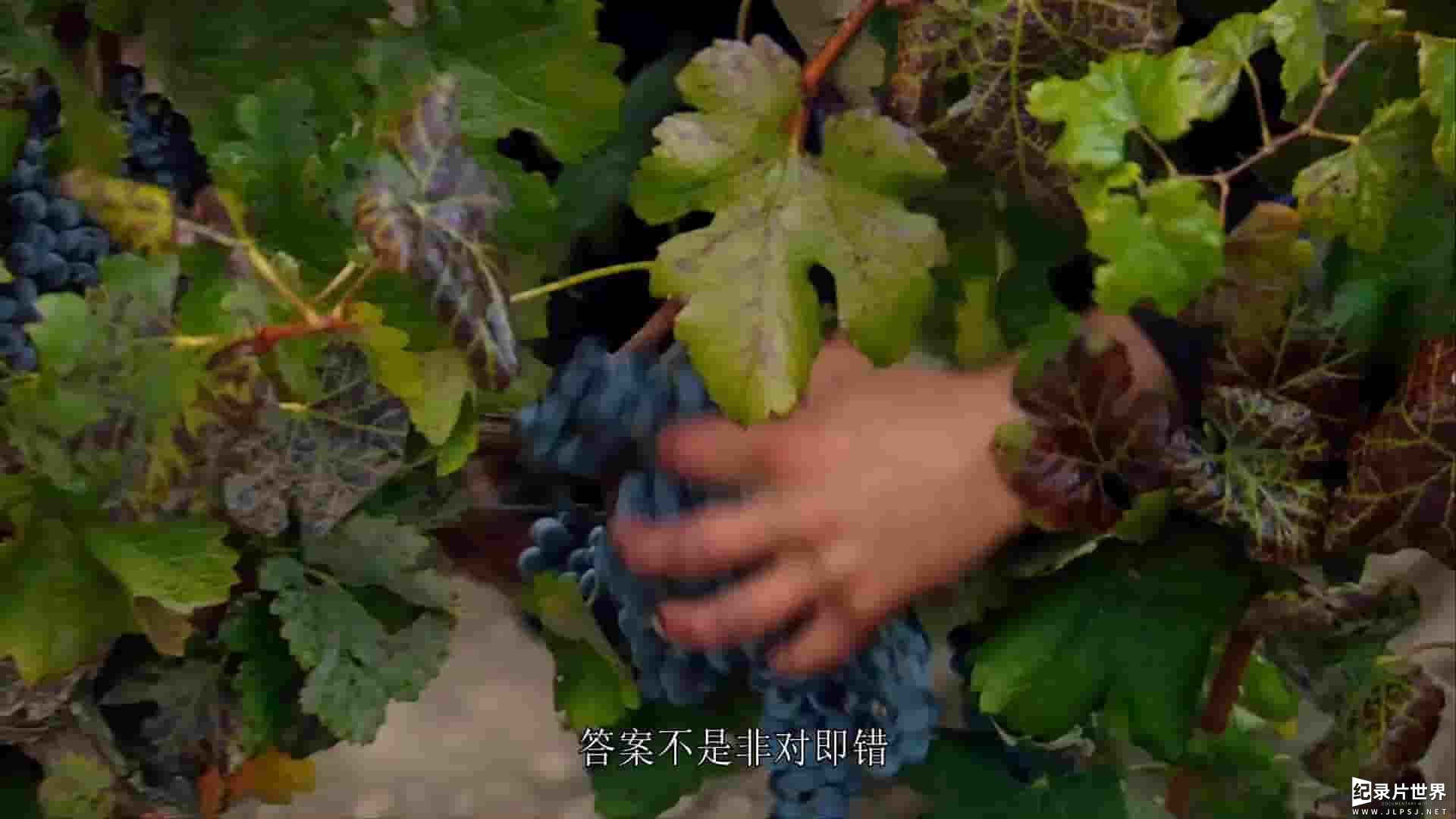 美国纪录片《侍酒师 Somm 2012》全1集