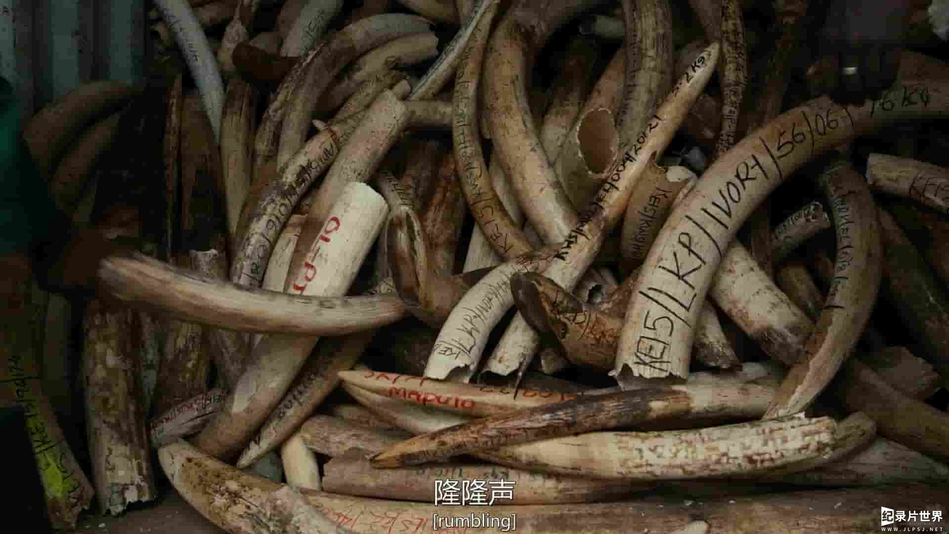 加拿大纪录片《人类纪：谁主地球 Anthropocene: The Human Epoch 2018》全1集