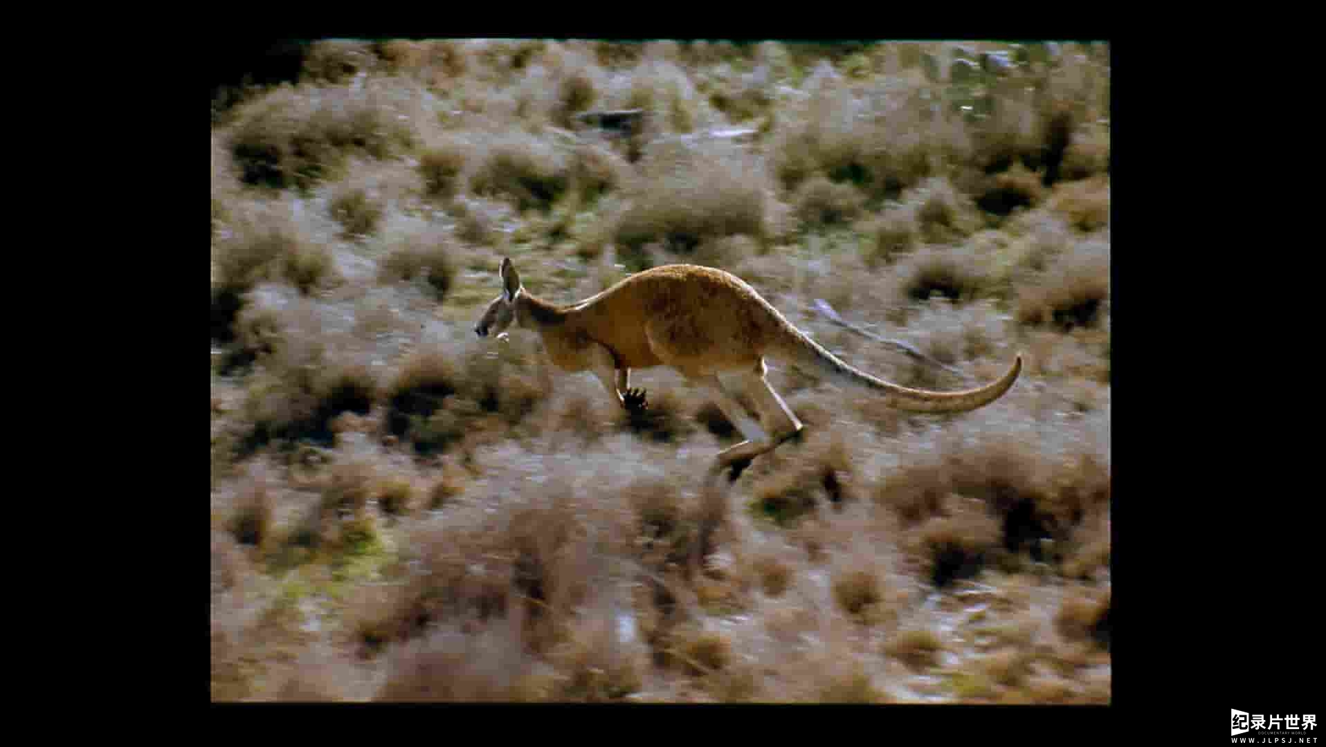 IMAX纪录片《澳洲奇趣之旅/澳大利亚:跨越时间之地 Australia: Land Beyond Time 2002》全1集 