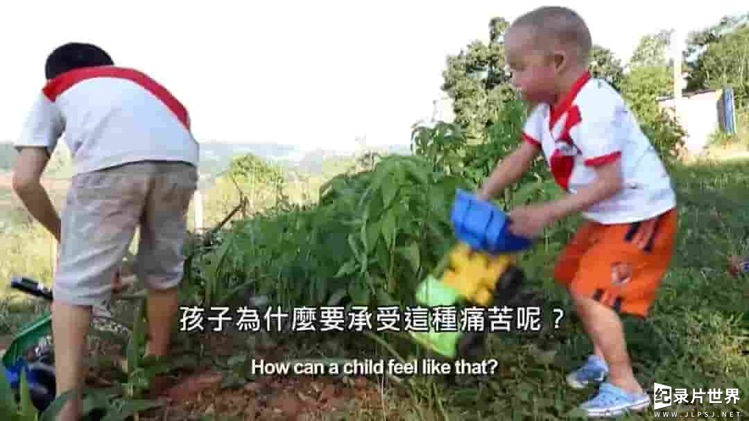  法国纪录片《除草剂的真相 Genetically Modified Children 2016》全1集