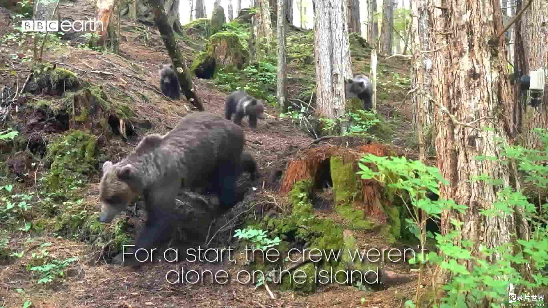 BBC纪录片《西伯利亚鼯鼠 Siberian flying squirrel》全6集