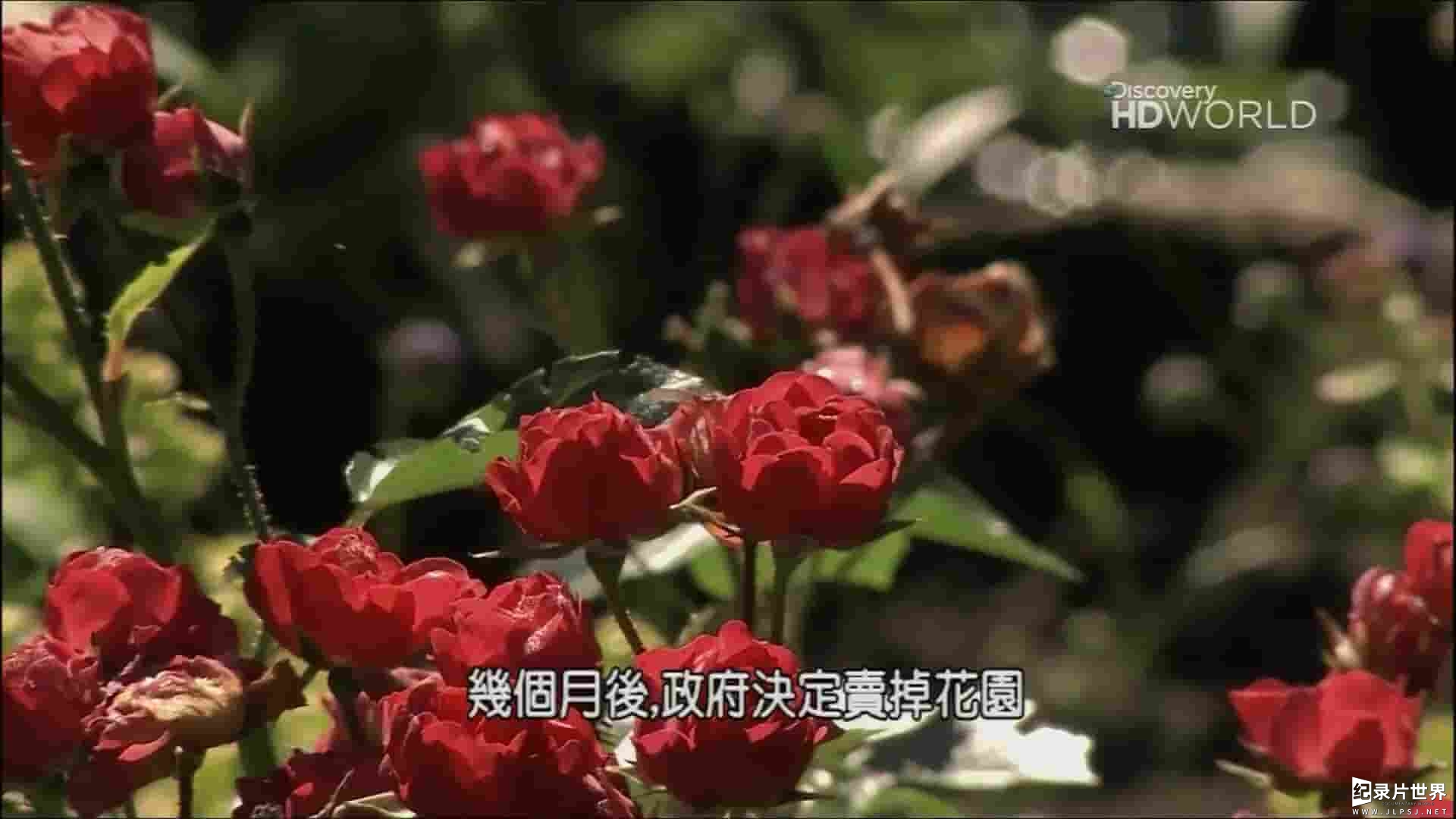 探索频道《花园再发现 Twice Upon A Garden 2010》全1集