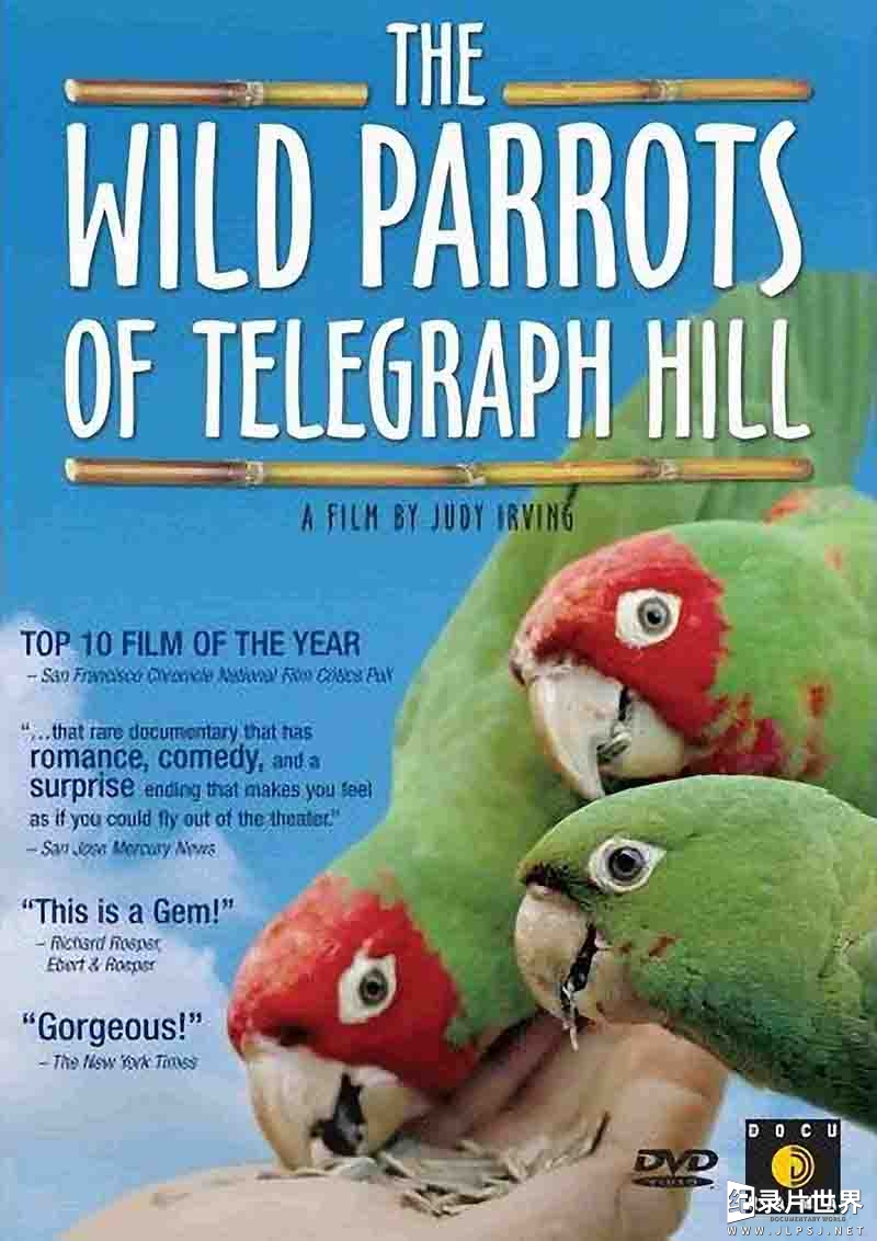 美国 纪录片《野鹦鹉 The Wild Parrots of Telegraph Hill 2003》全1集 