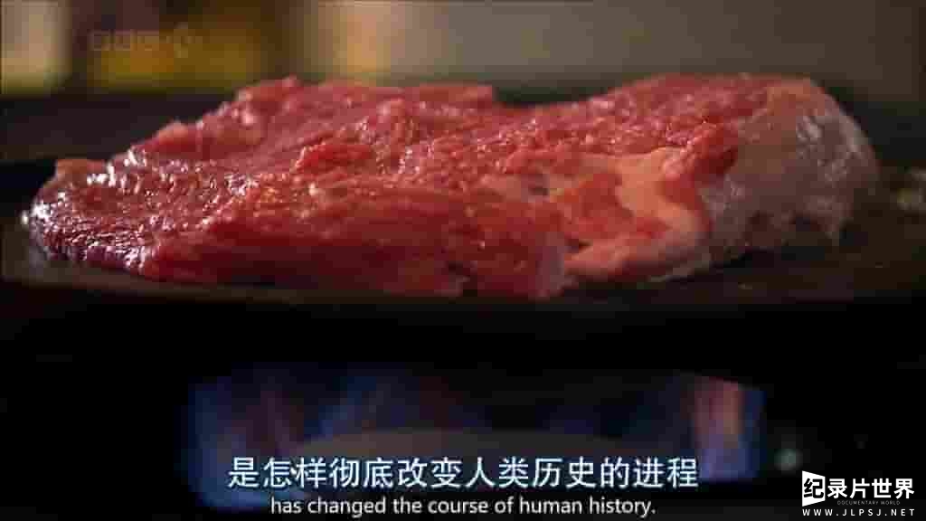 BBC纪录片地平线系列《烹饪造就人类吗 Did Cooking Make Us Human 2010》全1集