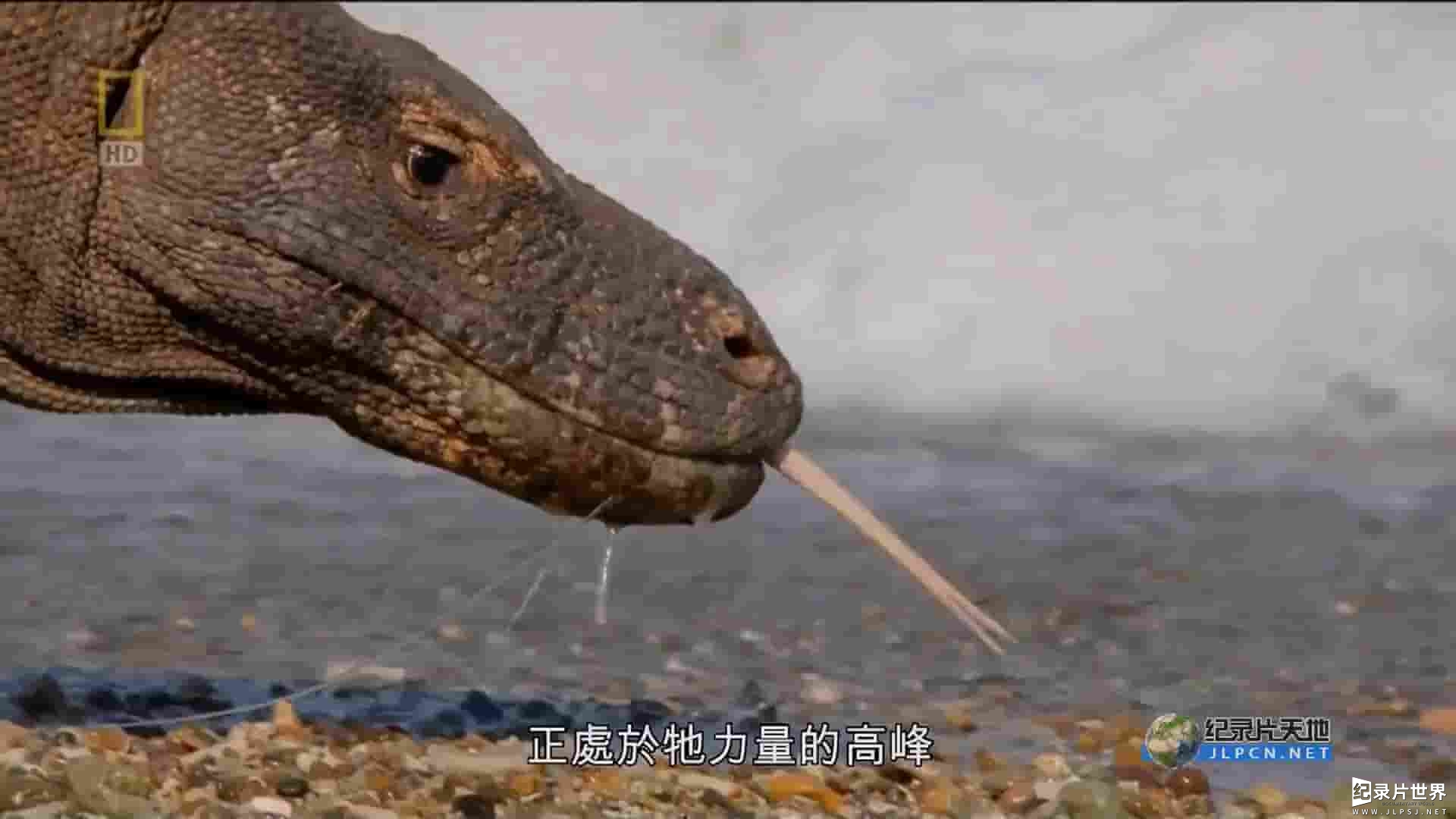 国家地理《印尼野生大地 Wild Indonesia》全3集