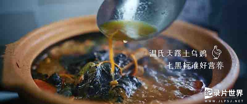 国产纪录片《广东早茶 YUM CHA 2024》全8集 