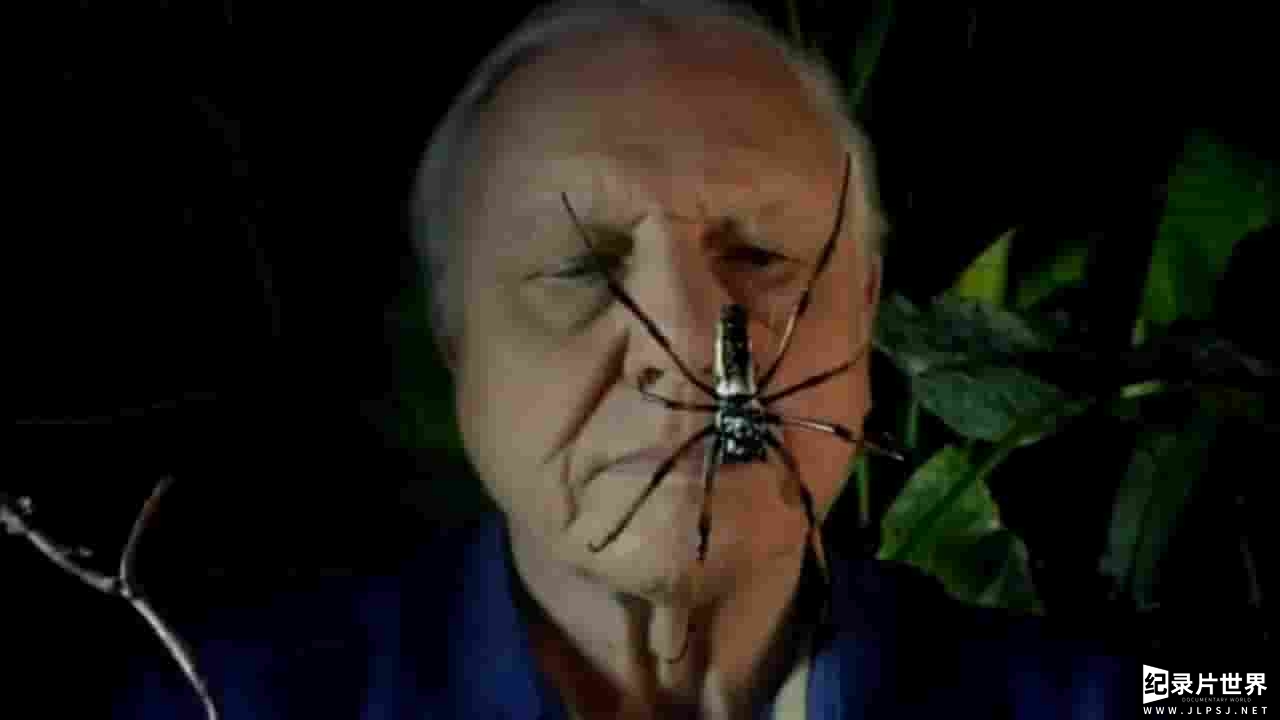 BSkyB纪录片《90岁的爱登堡：镜头背后 Attenborough at 90: Behind the Lens 2016》全1集