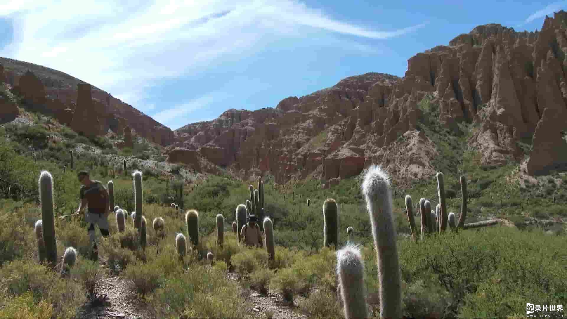 美国纪录片《玻利维亚的未知之蛇 The Unknown Snake of Bolivia 2018》全2集 