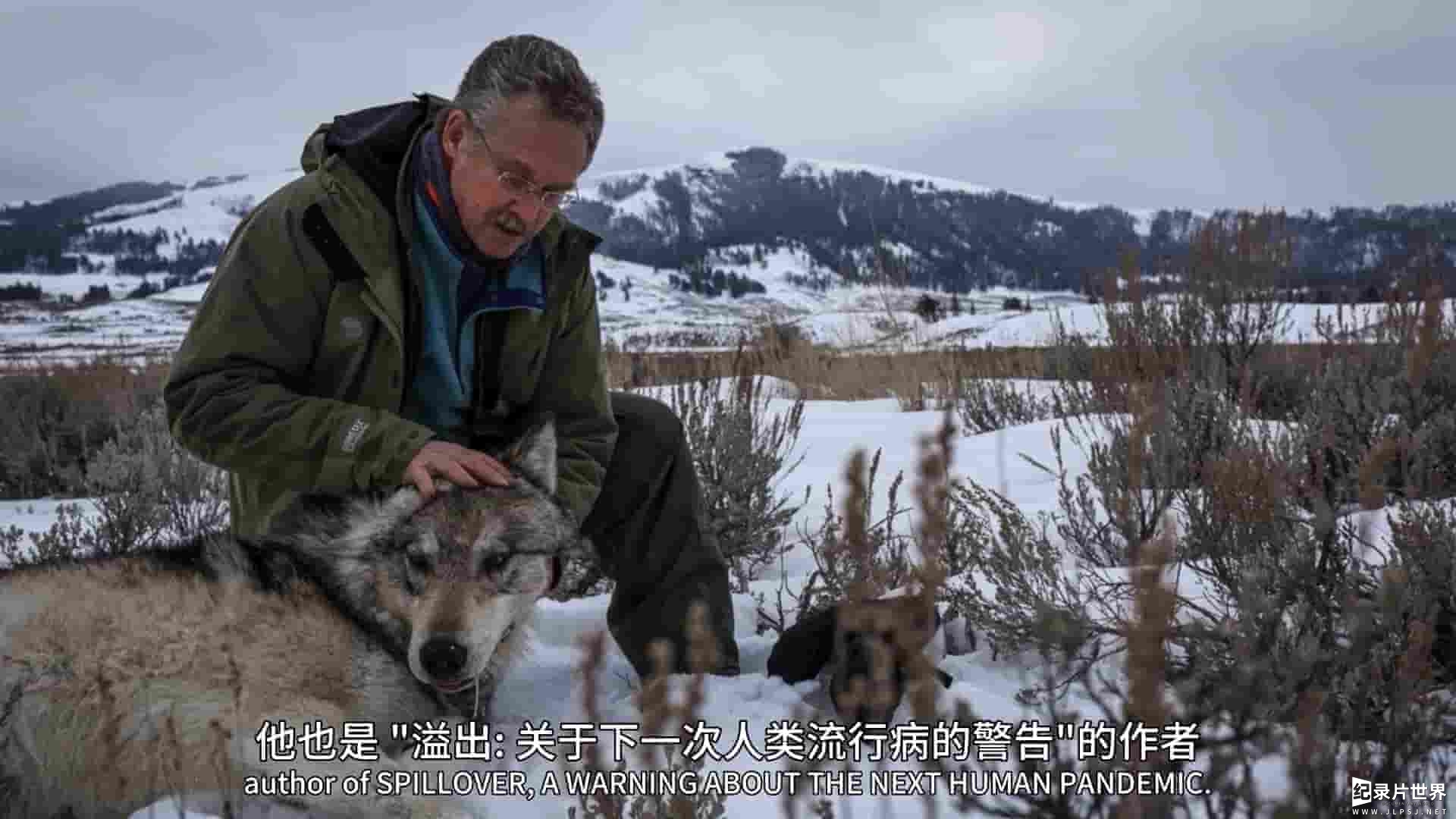 奥地利纪录片《冠状病毒：流行病与穿山甲/冠状病毒：流行病毒与自然环境 Corona: The pandemic and the pangolin 2021》全1集