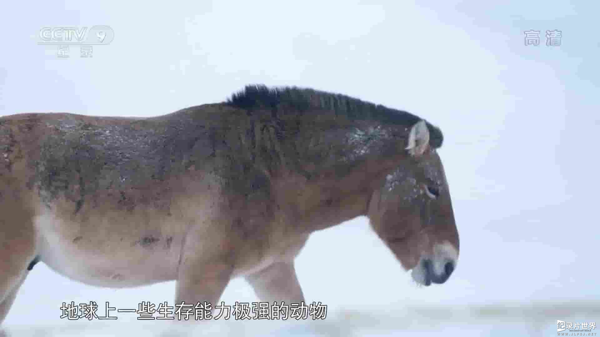 央视纪录片《野性蒙古国 Wild Mongolia: Land of Extremes 2018》全3集