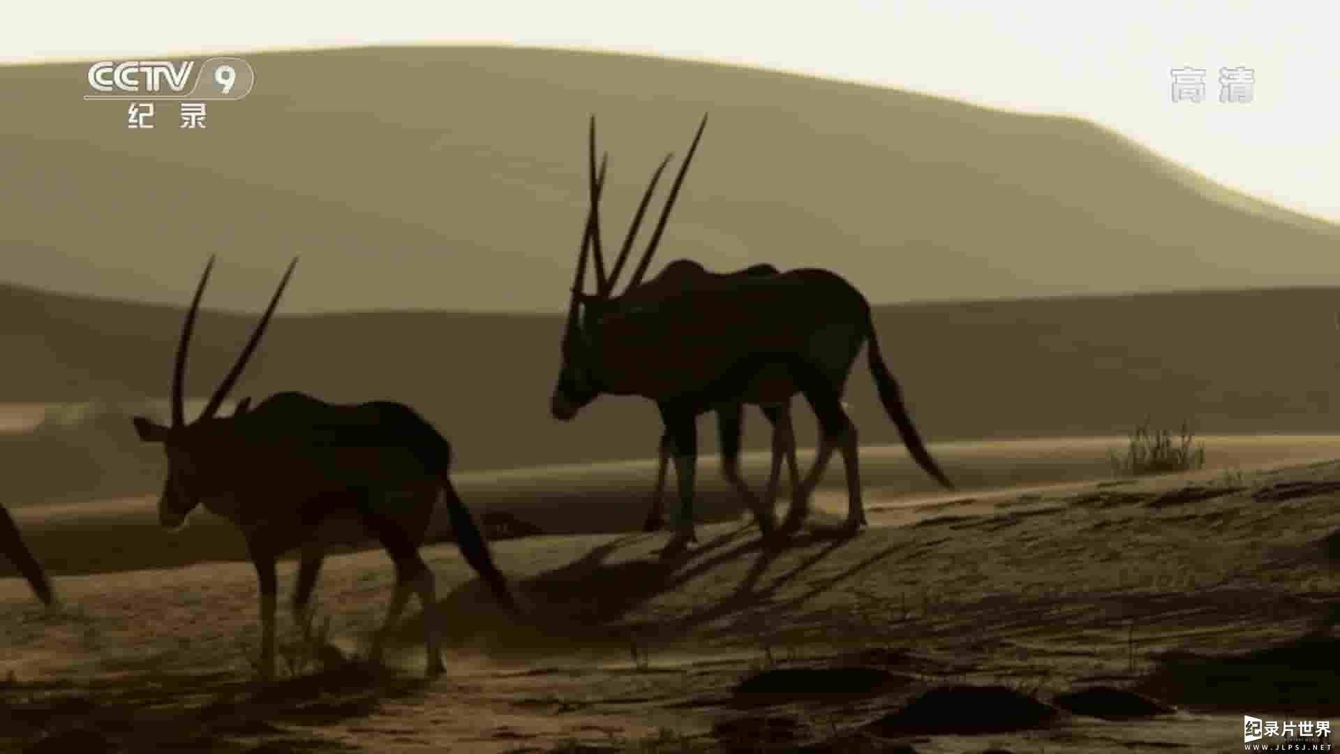 央视纪录片《狂野纳米比亚/纳米比亚：旷野的精神 Namibia: The Spirit of Wilderness 2016》全1集