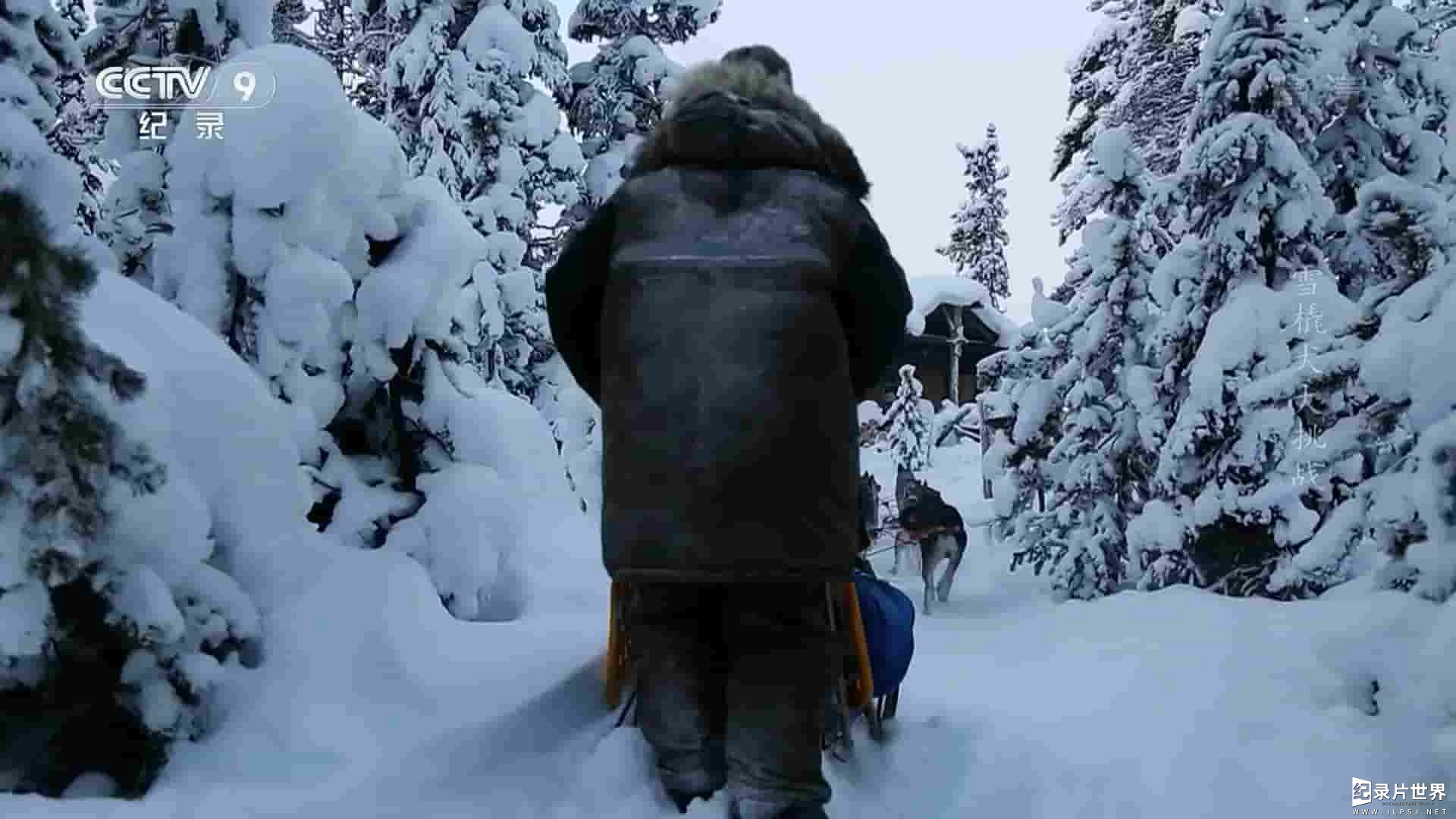 央视纪录片《雪橇犬大挑战/灵犬与我：极地生存 Iditarod: The Last Great Race on Earth 2017》全1集