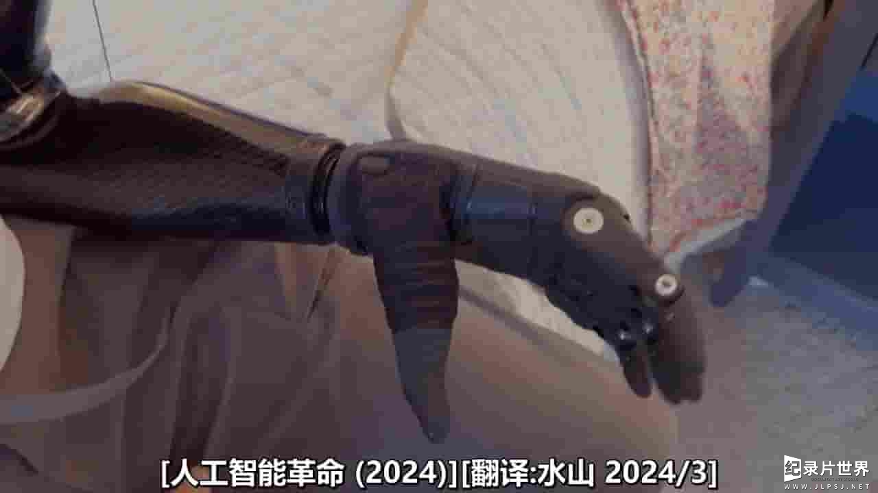 PBS纪录片《人工智能革命 A.I. Revolution 2024》全1集