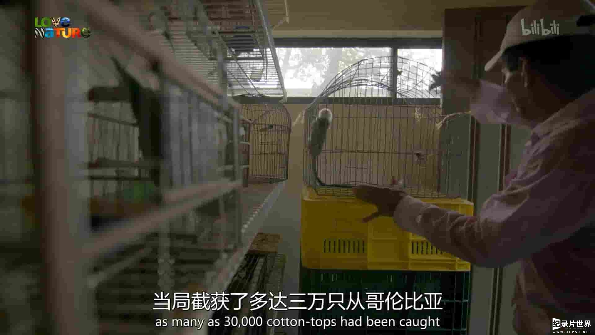 史密森尼频道《走进野外：哥伦比亚 Into the Wild: Colombia 2018》第1季全5集