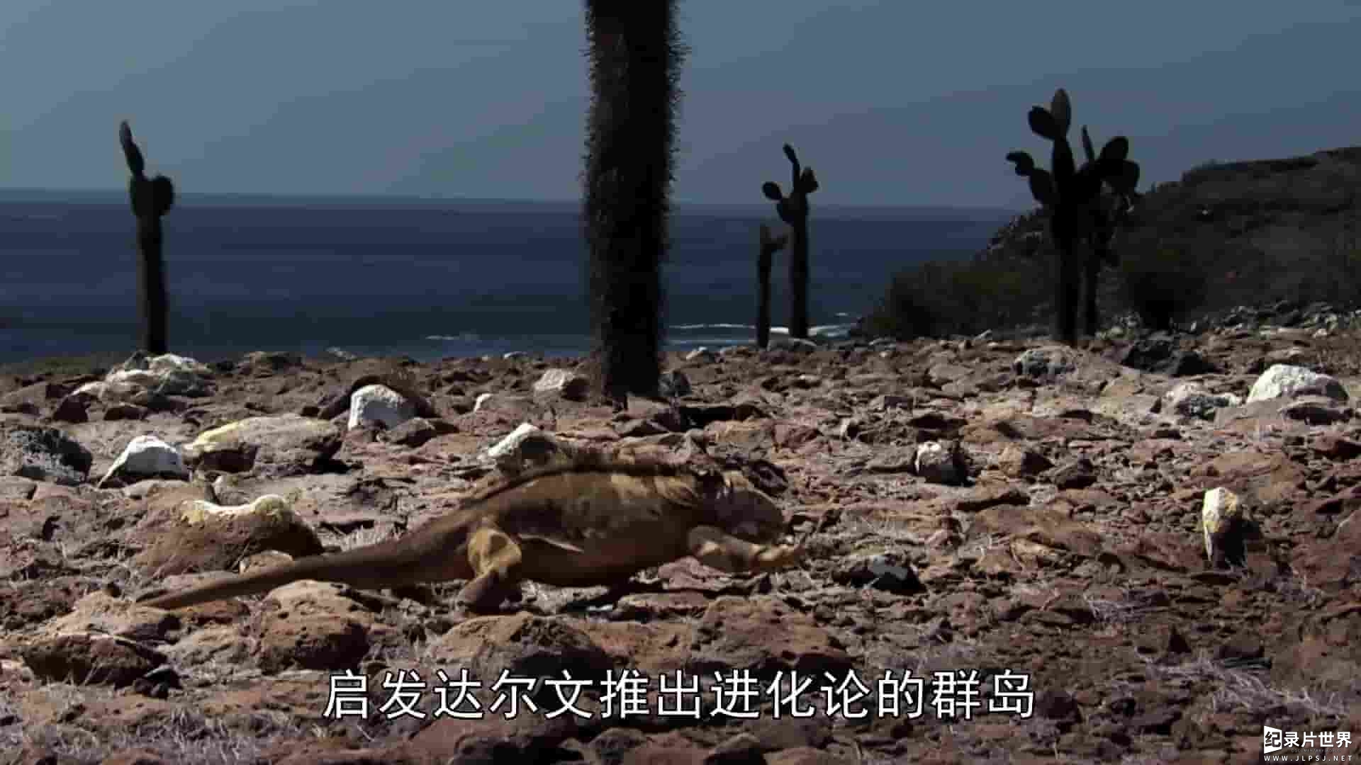 BBC纪录片《自然世界：加拉帕戈斯群岛的变化 Natural World: Galapagos - Islands Of Change 2015》全1集